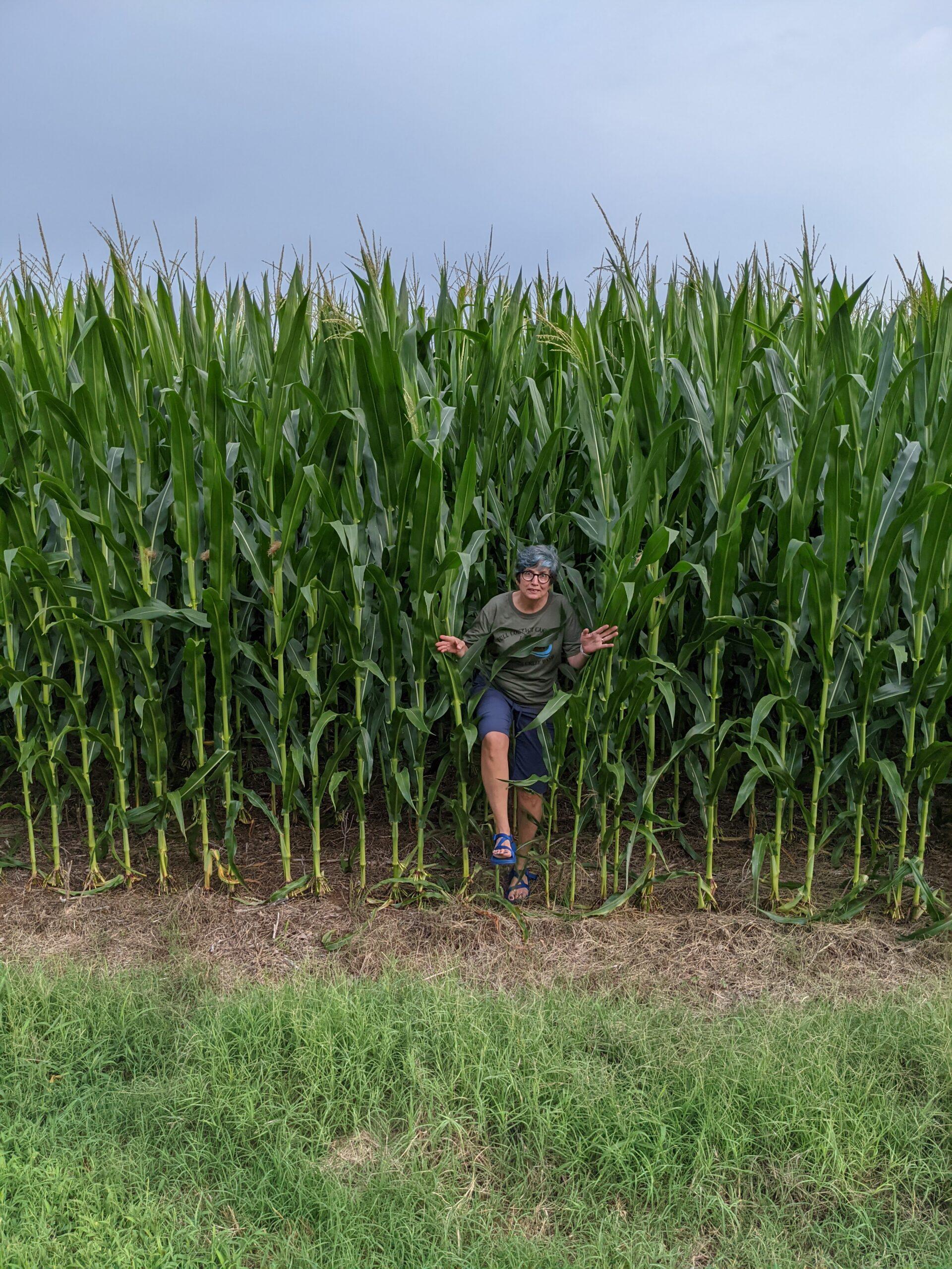 Tracy emerging from the corn