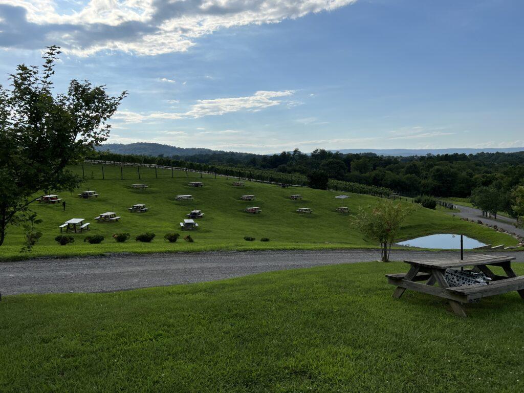 Empty picnic tables on the hill at Barrel Oak Winery